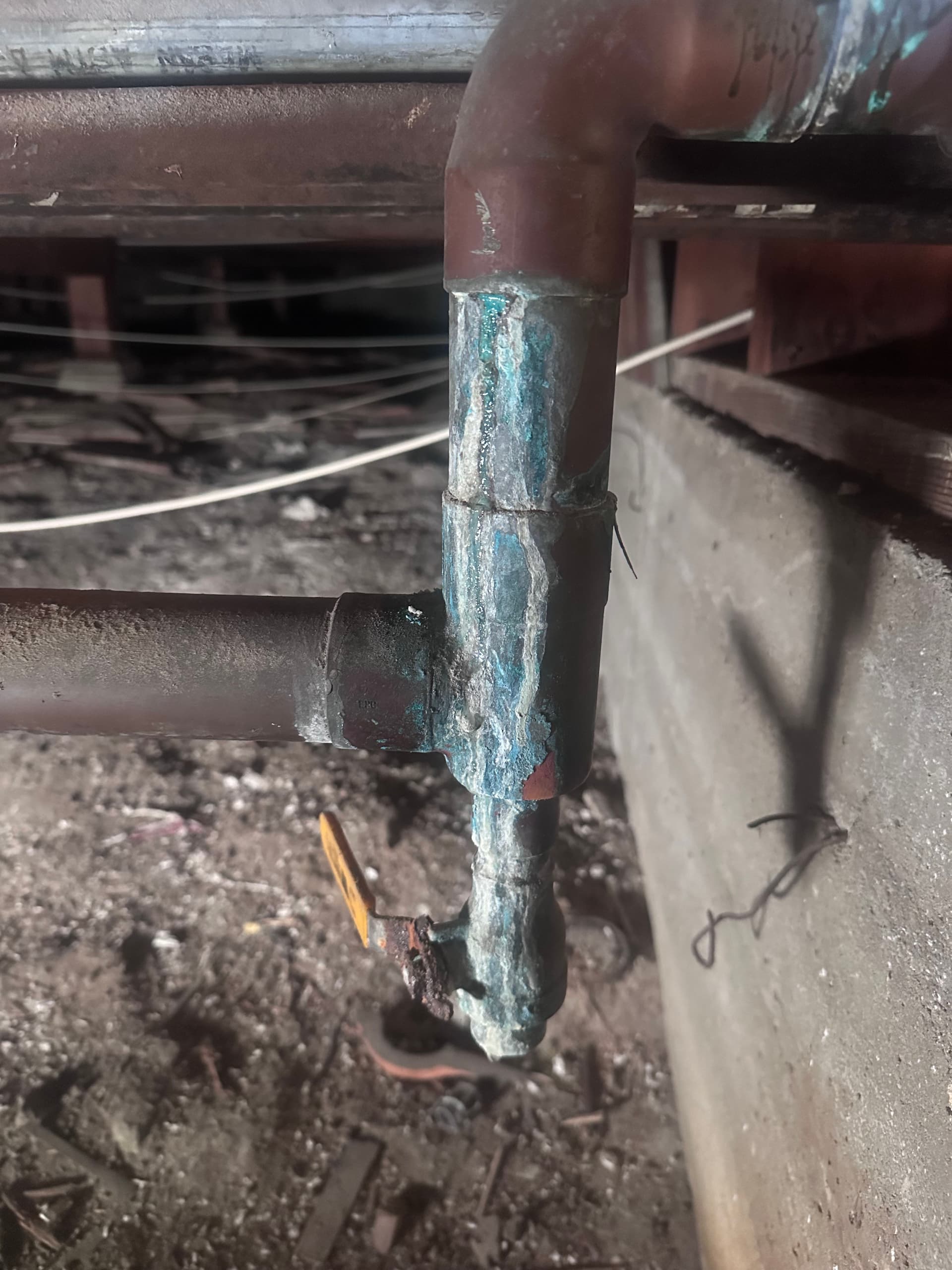 Gallery photos for Main Water Line Overhaul with Precision and Care: Image #3