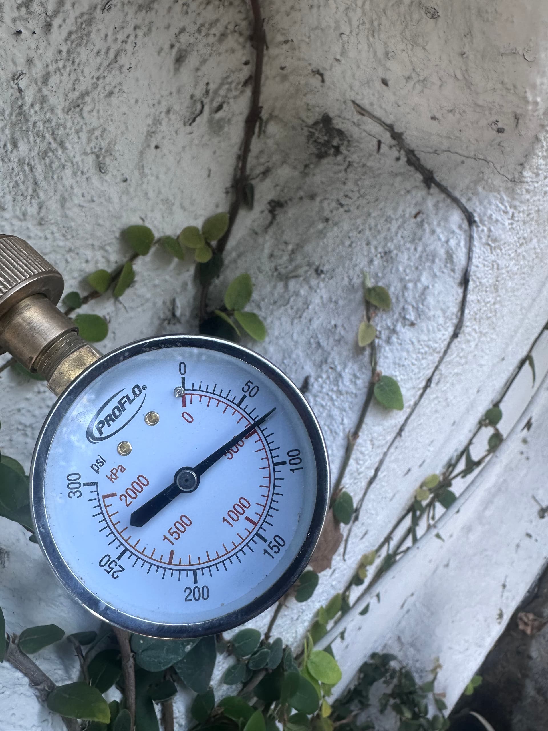 Gallery photos for Main Water Line Overhaul with Precision and Care: Image #8